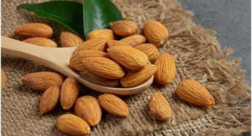 Health News: सेहत से जुड़ी समस्याओं को करें दूर, बस रोज खाएं 4 भीगे बादाम..