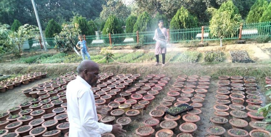 महाकुम्भ -2025: शहर के 6 प्रमुख पार्कों का उद्यान विभाग ने शुरू किया सौंदर्यीकरण