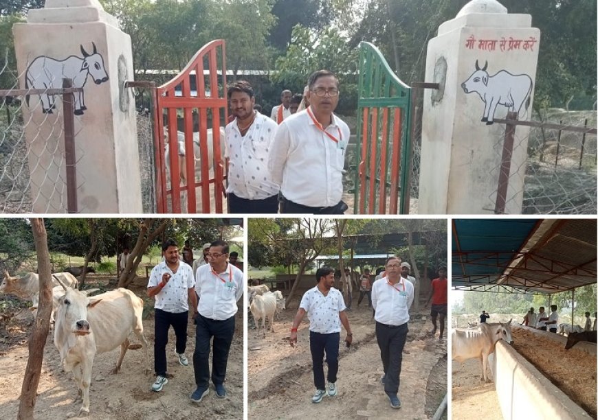 Hardoi News: मुख्य पशु चिकित्सा अधिकारी ए.के. सिंह  ने धियरई गौशाला का किया निरीक्षण, पानी चारे की व्यवस्था  मिली दुरुस्त।