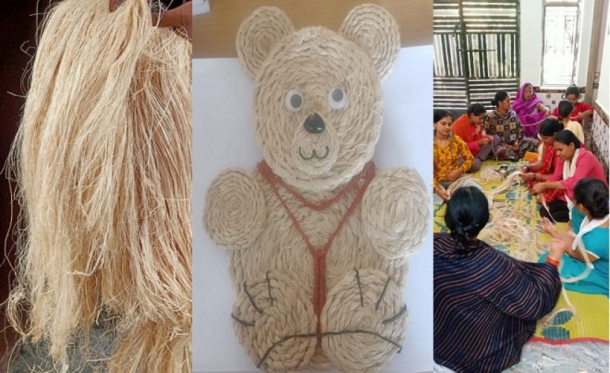 Special Story: केले के रेशे से रोशन हुई रवि की जिंदगी- रेशे से बनाते हैं रोजमर्रा की जरूरत की कई चीजें। 