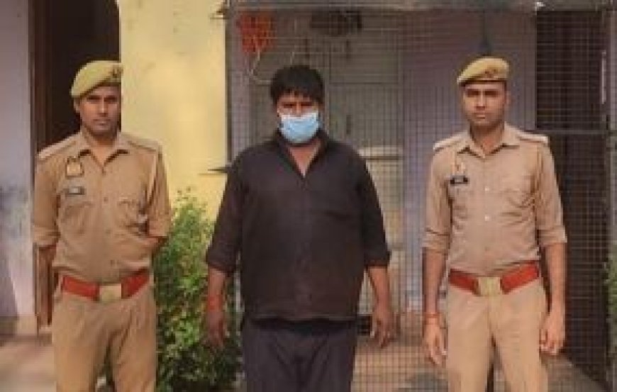 Hardoi: 430 बोरी अनाज पर डाला डांका, पुलिस ने पकड़ा
