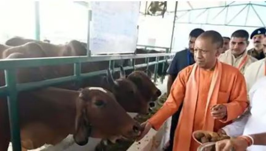 प्रदेश में कुल 6930 हेक्टेयर अवैध कब्जे वाली गोचर भूमि में से 4740 हेक्टेयर भूमि को कराया गया कब्जा मुक्त