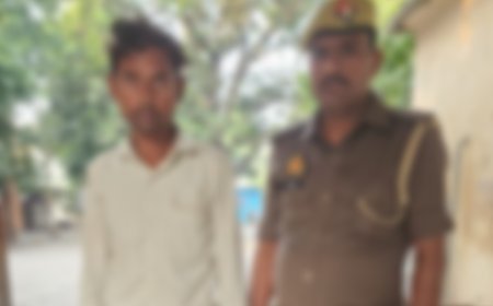 Hardoi News: अवैध तमंचे के साथ पुलिस ने दबोचा