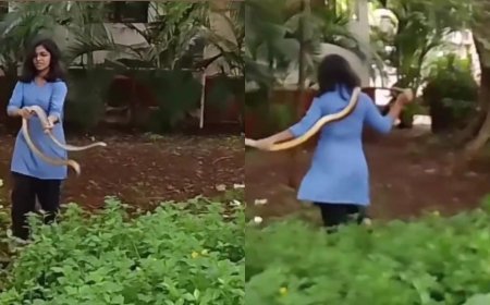 Viral News: सांप को बदन से लपेटकर खेलती दिखीं लड़की, वीडियो देखने के बाद लोगों के उड़े होश
