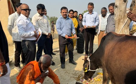 योगी सरकार के मार्गदर्शन में उप्र के सभी गोआश्रय स्थलों पर किया गया गोपूजन
