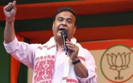 Political News: राहुल गांधी करते हैं हिंदुओं को बांटने का काम, जनसभा में बोले- हिमंत विश्व शर्मा