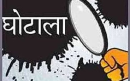 Hardoi News: बावन ब्लॉक की सोशल आडिट में मिलीं कई खामियां, अब होगी रिकवरी