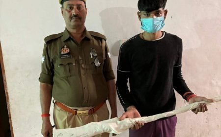 Hardoi News: अवैध बंदूक के साथ एक गिरफ्तार