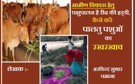 ग्रामीण विकास हेतु पशुपालन है रीढ की हड्डी, कैसे करें पालतु पशुओं का रखरखाव