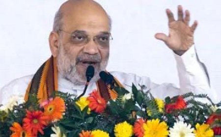 Political News: जनसभा में बोले अमित शाह, सोनिया गांधी ने राहुल गांधी को कई बार किया लॉन्च लेकिन हर बार हुए फेल। 