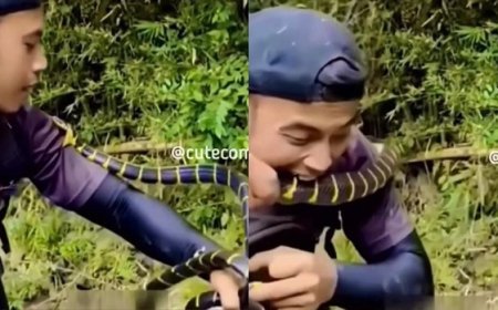 Viral News: सांप ने शख्स को काटा, तो आ गया गुस्सा, फिर ऐसे लिया बदला...