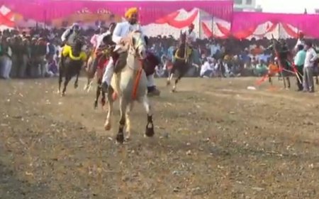 Ballia News: ददरी मेला में चेतक प्रतियोगिता (घुड़दौड़) का आयोजन। 