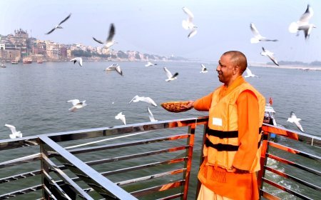 सीएम योगी का दिखा पक्षी-प्रेम, साइबेरियन पक्षियों को खिलाया दाना