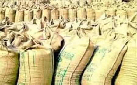 लखनऊ: सरकारी क्रय केंद्रों पर इस वर्ष धान की खरीद बढ़ी, अब तक 7.28 लाख मीट्रिक टन से अधिक खरीद हुयी