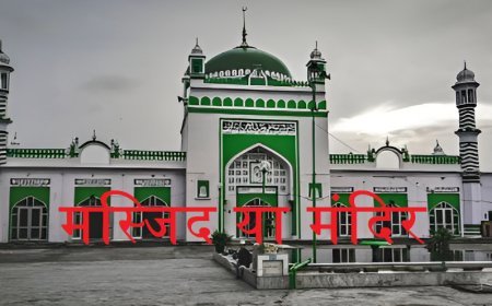 संभल: शाही जामा मस्जिद की सर्वे रिपोर्ट में चौंकाने वाला दावा, दीवारों पर गुंबद पर कलश की आकृति व कमल के फूल, हिंदू पक्ष का दावा, यहां पहले हरिहर मंदिर था