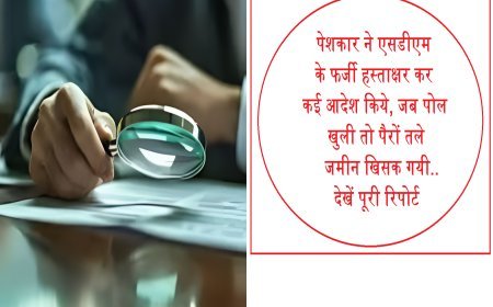 प्रयागराज : पेशकार ने एसडीएम के फर्जी हस्ताक्षर कर कई आदेश दे डाले, अब बुरे फंसे...