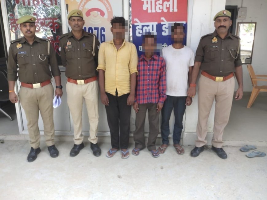 Hardoi News: गाली-गलौज व मारपीट के मामले में 3 गिरफ्तार