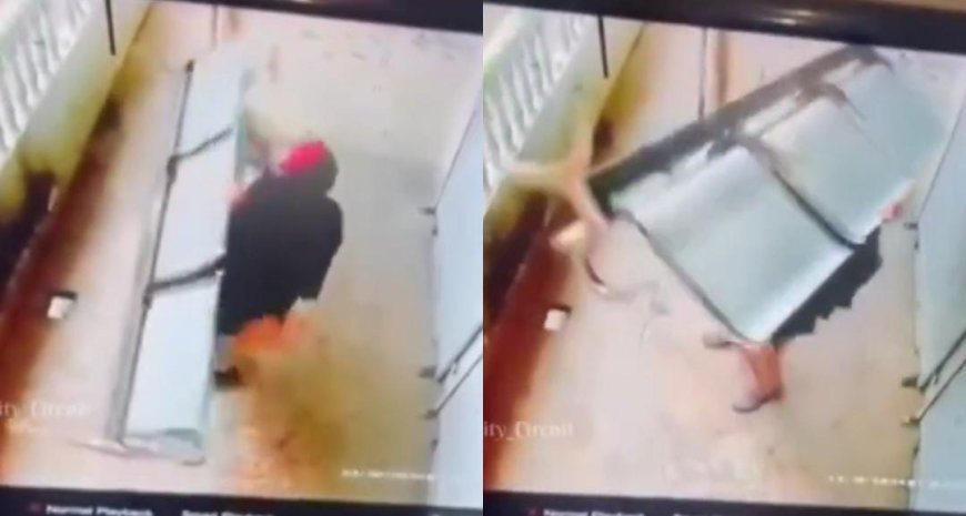 Viral News: महिला बनी बाहुबली, सर पर उठायी चेयर और चलती बनी...