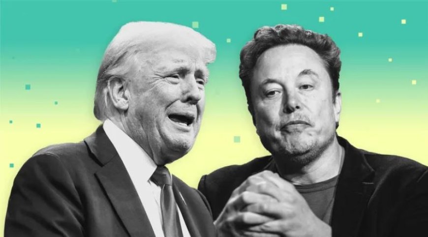 डोनाल्ड ट्रंप की जीत से एलन मस्क को जबरदस्त फायदा, नेटवर्थ में 4 लाख करोड़ रुपए से ज्यादा का इजाफा