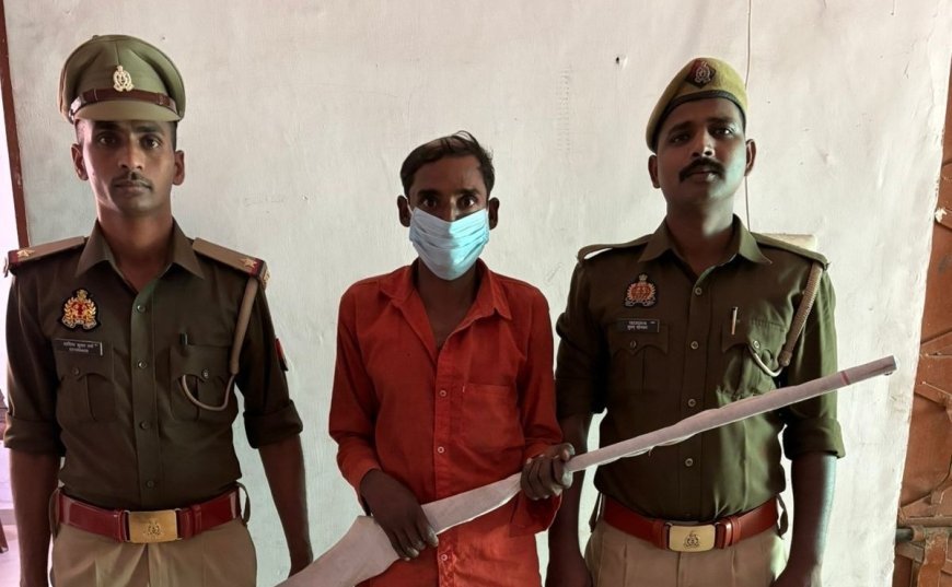 Hardoi News: अवैध बंदूक व 2 कारतूस के साथ एक गिरफ्तार