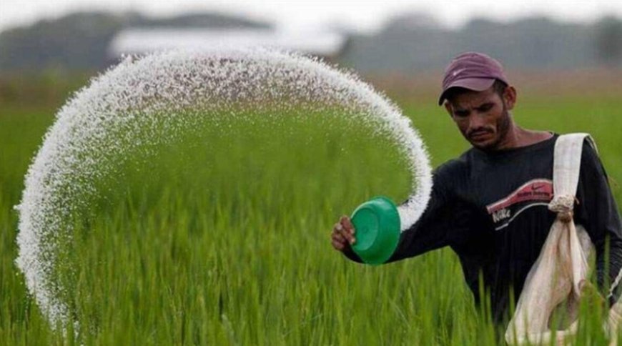 हरदोई: जनपद में संचालित प्लाईवुड फैक्ट्रियों की जांच के निर्देश, सब्सिडी पर मिलने वाली यूरिया का धड़ल्ले से किया जा रहा उपयोग