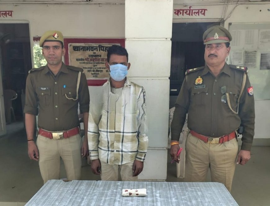 Hardoi News: भैंस चोरी का खुलासा- पिहानी पुलिस ने चोर को किया गिरफ्तार, भैंस खरीदने के बहाने करते थे रेकी। 