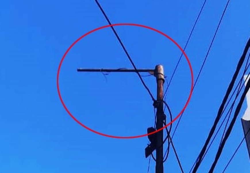 Deoband News: आखिर कहां चली गई खंभों से उतारी गईं लाइटें, महीनों पहले ठीक करने के नाम पर उतारी गईं थीं स्ट्रीट लाइटें। 