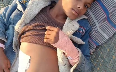 हादसा: स्कूली बच्चो से भरी मैजिक खाई में पलटी, 35 बच्चे घायल