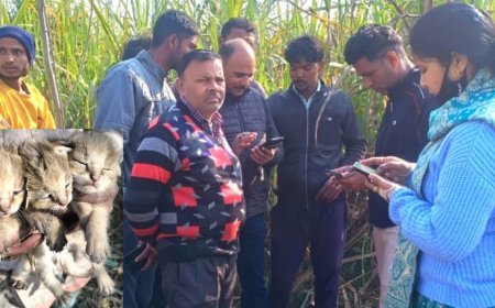 Uttarakhand: तीन शावको के बच्चे दिखाई दिए, ग्रामीणों में हड़कंप मचा