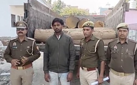 Uttarakhand: 60 कुंतल सागौन की लकड़ी पकड़ी, चोरी कर बेंचने का गोरखधंधा चालू