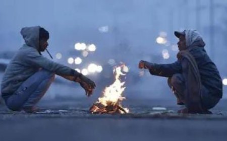 Hardoi News: शीतलहर/ठंड से बचाव के लिए जिला आपदा प्रबन्ध प्राधिकरण ने जारी की एडवाइजरी।