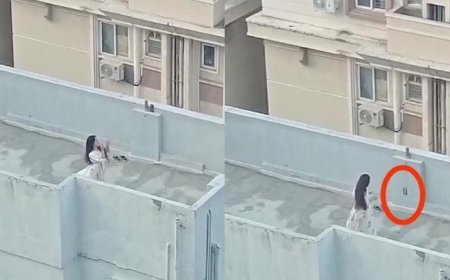 Viral News: लड़की डांस करके छत पर बना रही थी वीडियो, लेकिन आखिर में हुआ कुछ ऐसा नहीं रुकेगी आपकी हंसी। 