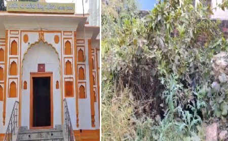 Sambhal News: सपा सांसद जियाउर्रहमान बर्क के इलाके के खग्गू सराय में एक शिव मंदिर मिला, पुरातत्व विभाग को सर्वे के लिए लेटर लिखा।  