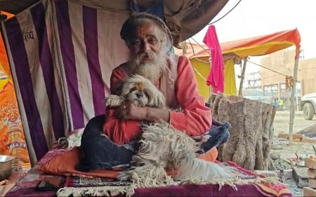 Incredible Mahakumbh: Naga ascetics camps at Mahakumbh showcase heartwarming animal love