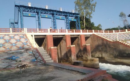 पीलीभीत: नव वर्ष के स्वागत को पीलीभीत तैयार, आप भी आइए यहां दीदार के लिए