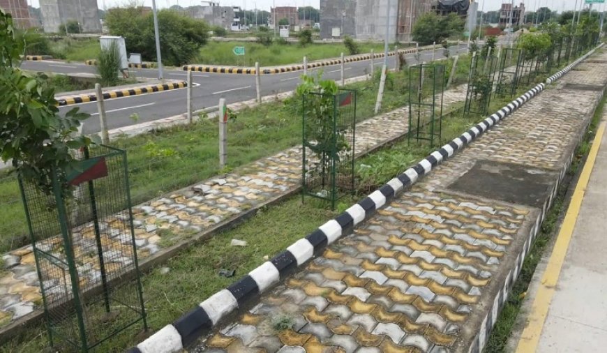 हरित महाकुम्भ- सीएम योगी के निर्देश पर 1.5 लाख पौधों से तैयार हो रहा ऑक्सीजन बैंक।