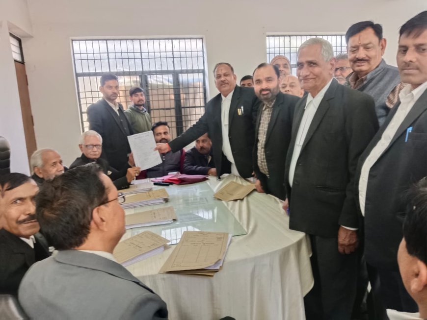 हरदोई: अधिवक्ता अवनिकांत वाजपेयी ने अधिवक्ता संघ के अध्यक्ष पद के दावेदारी में नामांकन पत्र दाखिल किया