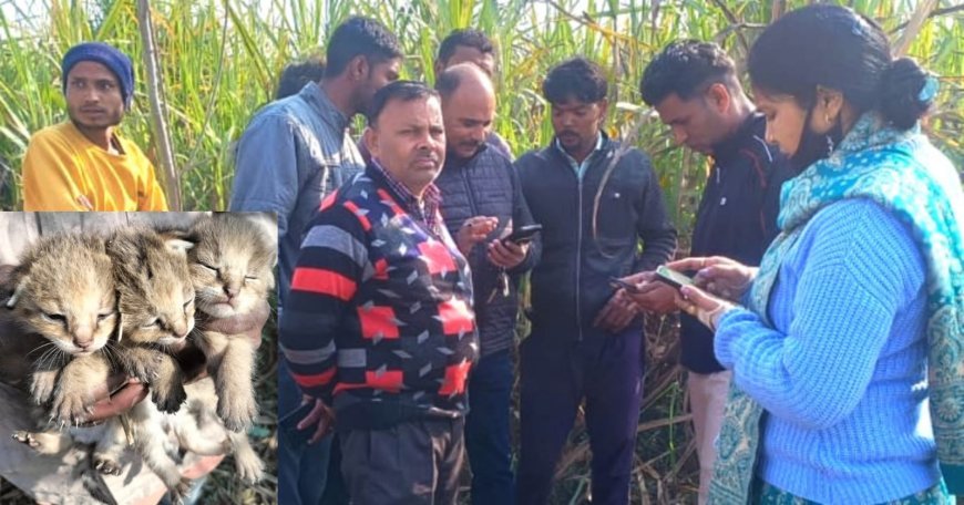 Uttarakhand: तीन शावको के बच्चे दिखाई दिए, ग्रामीणों में हड़कंप मचा