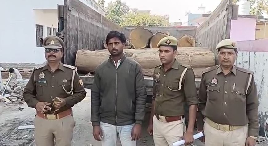 Uttarakhand: 60 कुंतल सागौन की लकड़ी पकड़ी, चोरी कर बेंचने का गोरखधंधा चालू