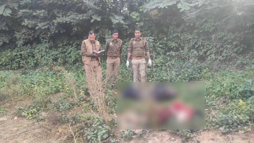 Sitapur: संदिग्ध अवस्था में रेलवे ट्रैक के समीप मिले 2 अज्ञात शवो से मचा हड़कंप 