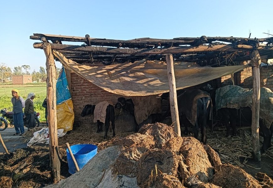 Uttarakhand News: अज्ञात कारणों से लगी आग से हजारों का नुकसान। 