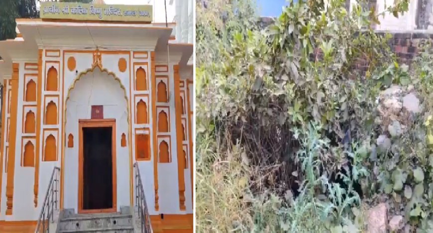 Sambhal News: सपा सांसद जियाउर्रहमान बर्क के इलाके के खग्गू सराय में एक शिव मंदिर मिला, पुरातत्व विभाग को सर्वे के लिए लेटर लिखा।  