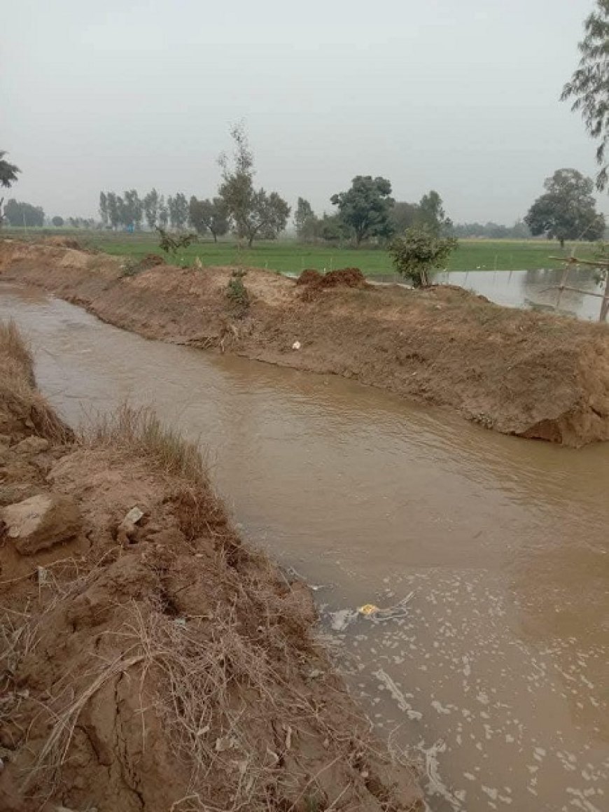 Shahjahanpur News: नहर कटने से फसल बर्बाद- 200 बीघा से अधिक फसल जलमग्न, किसानों ने उठाई मुआवजे की मांग। 