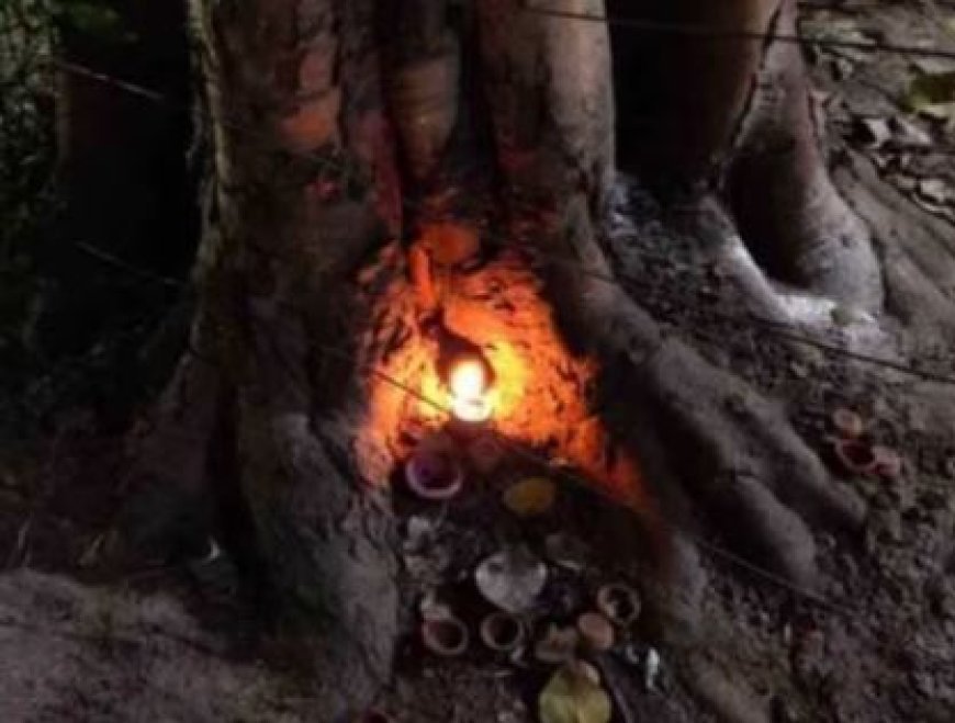 धर्म: पीपल के पेड़ के नीचे दीपक जलाना बहुत लाभकारी, माना जाता है पितरों और देवताओं का वास
