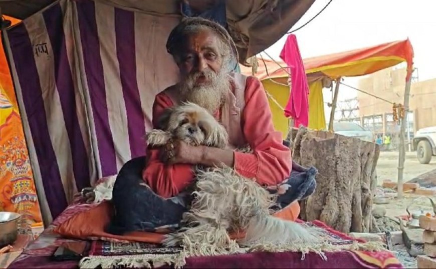 Incredible Mahakumbh: Naga ascetics camps at Mahakumbh showcase heartwarming animal love