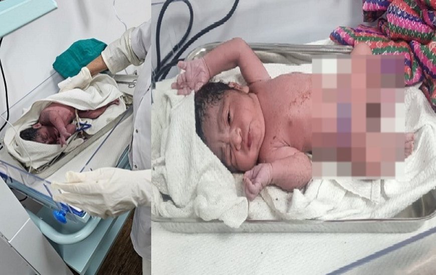 महाकुम्भनगर:  महाकुम्भ के सेंट्रल हॉस्पिटल में हुई पहली डिलीवरी, महाकुम्भ मेला क्षेत्र के परेड में स्थित अस्थाई अस्पताल में महिला ने दिया बालक को जन्म। 