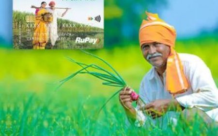 हरदोई: जिले के 76836 किसानों की आरसी जारी, 35 अरब के कर्ज में दबे हैं किसान