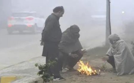 उत्तर प्रदेश में भीषण शीतलहर और घने कोहरे का रेड अलर्ट: राहत आयुक्त ने 12 करोड़ 52 लाख लोगों को भेजा मौसम का एलर्ट। 