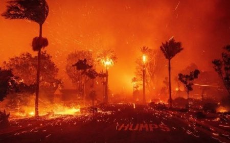 जंगल से लगी आग में कई एक्टर्स के आशियाने जले, बचे घर खाली कर रहे एक्टर्स