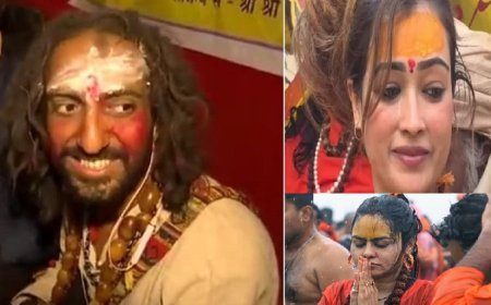 Maha kumbh 2025: इंजीनियरिंग और मॉडलिंग छोड़ पुरातन सनातन से जुड़ रहे युवा, प्रोफेशनल्स में बढ़ रहा सनातन संस्कृति का आकर्षण ।